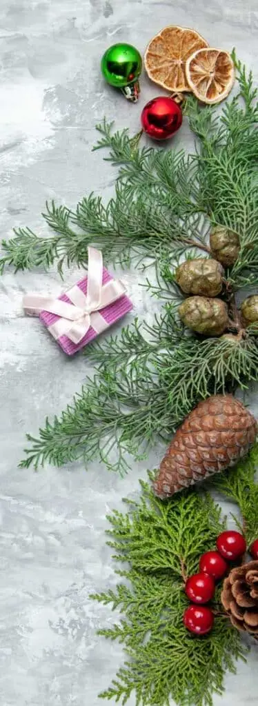pine tree image for gift protocols